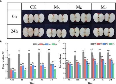 Transcriptomics and metabolomics provide insight into the anti-browning mechanism of selenium in freshly cut apples